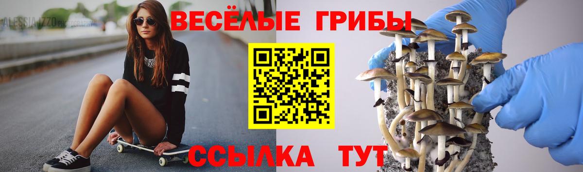 Псилоцибиновые грибы прущие грибы  Вход с VPN  Галлюциногенные грибы ЛСД  Мытищи 